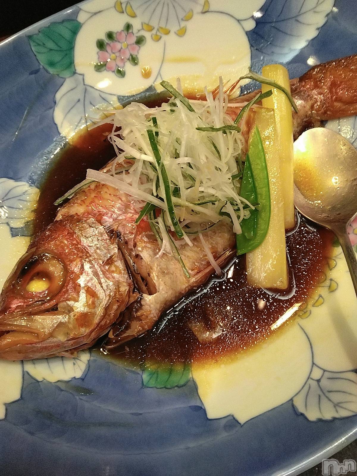 ���ܱ�������Х��顦����֥���� �ץ���� ����(����� �ץ���� �ޥĥ��) ��2026ǯ3��20���̥�֥����֤Τɤ����������))))�ġ�