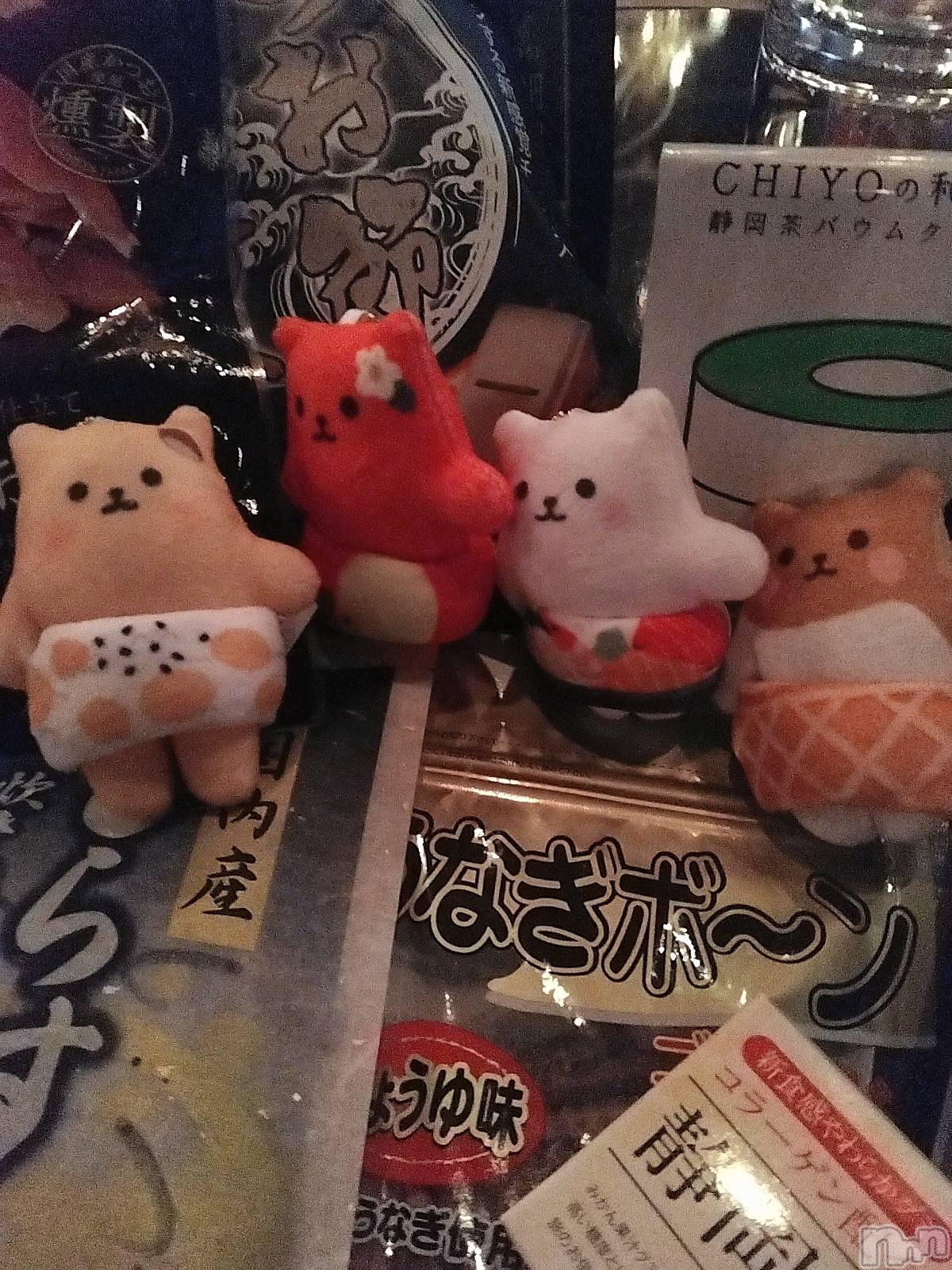 ���ܱ�������Х��顦����֥���� �ץ���� ����(����� �ץ���� �ޥĥ��) ��2026ǯ4��4���̥�֥����֤Ȥ�ˤ��s🐱��