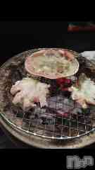 ���ܱ�������Х��顦����� ����� �ץ���� ����(����� �ץ���� �ޥĥ��) ������1��4��ư���2026🎉��