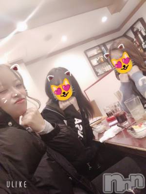 ܱХ顦֥ ץ ( ץ ޥĥ) 1128̥֥֤Ӣ