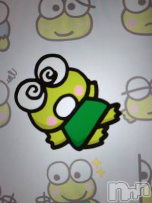 ���ܱ�������Х��顦����֥���� �ץ���� ����(����� �ץ���� �ޥĥ��) ������12��23���̥�֥����֤��Ф餯���٤ߤ��ޤ�🐸��