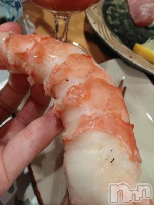 ���ܱ�������Х��顦����֥���� �ץ���� ����(����� �ץ���� �ޥĥ��) ������1��16���̥�֥����֤��ä��ʥ���🦐��