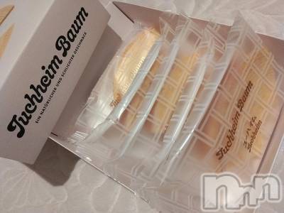 ���ܱ�������Х��顦����֥���� �ץ���� ����(����� �ץ���� �ޥĥ��) ������2��6���̥�֥�����ĺ��ʪ🎉��