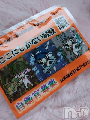 ���ܱ�������Х��顦����֥���� �ץ���� ����(����� �ץ���� �ޥĥ��) ������2��12���̥�֥����֥ۥå�������🇯🇵��