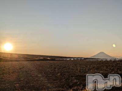 ���ܱ�������Х��顦����֥���� �ץ���� ����(����� �ץ���� �ޥĥ��) ������7��3���̥�֥��������✨❗️��