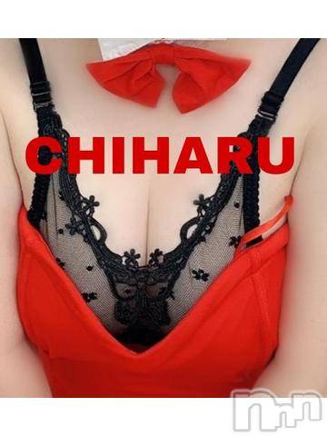 松本発デリヘル癒し姫 松本店(イヤシヒメマツモトテン) 【Ｂ】流川千晴(41)の12月15日写メブログ「12/13、12/14のお礼♬.*ﾟ」