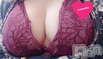 松本発デリヘル癒し姫 松本店(イヤシヒメマツモトテン) 【Ｂ】流川千晴(41)の4月16日写メブログ「4/11、4/12、4/13、4/14、4/15のお礼⋆*✩」