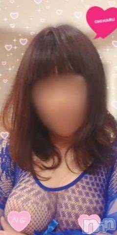 松本発ぽっちゃり癒し姫(イヤシヒメ) 40代☆千晴姫(41)の2月27日写メブログ「[お題]from:タカじゃなくてゾウさん」