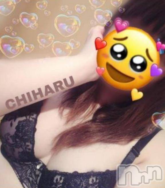 松本発ぽっちゃり癒し姫 松本店(イヤシヒメマツモトテン) 【Ｂ】流川千晴(41)の6月22日写メブログ「私の癒し🐱❤︎」
