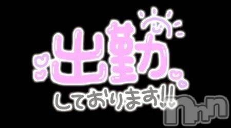 松本発ぽっちゃり癒し姫 松本店(イヤシヒメマツモトテン)【Ｂ】流川千晴(41)の2025年4月12日写メブログ「待機中だよ～っ(灬ºωº灬)♡」