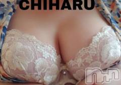 松本発ぽっちゃり癒し姫 松本店(イヤシヒメマツモトテン) 【Ｂ】流川千晴(41)の4月28日写メブログ「癒しの日❀.*･ﾟ」