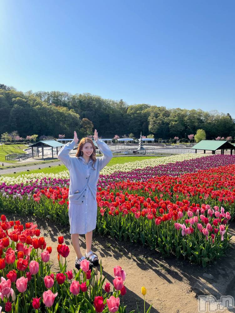 ĮХ顦Lounge R Style(饦󥸥륹) ˽ήȤߤ526̥֥֥Х