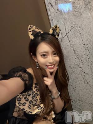 ��Į����Х��顦�����Lounge R Style(�饦�󥸥����륹������) ��˽ή���Ȥ�(26)��7��27���̥�֥����ֹ����� for cats��