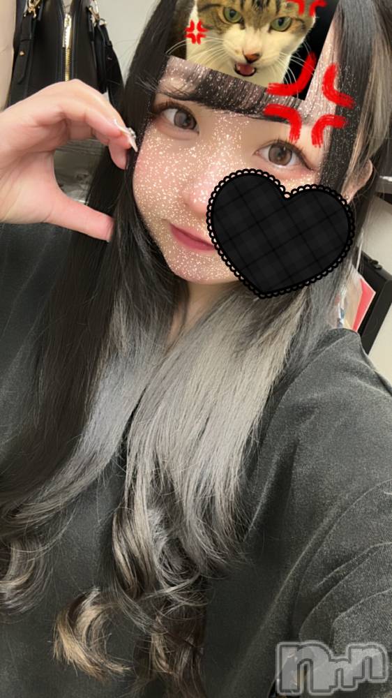 ʥå륺СVeronica-˥-(˥) 餭113̥֥- ̗̀( ˶^ᵕ'˶)b