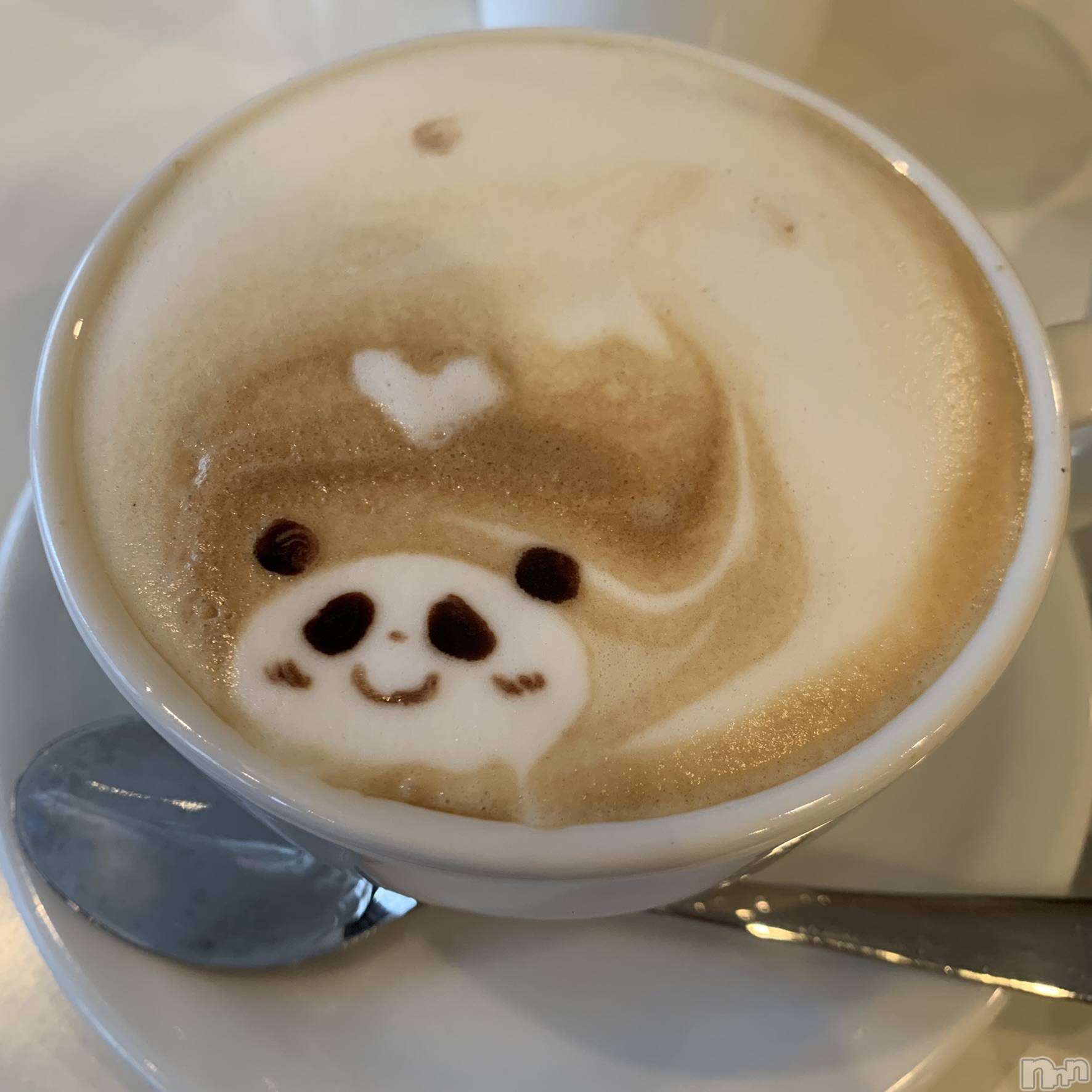 ʥå륺СVeronica-˥-(˥) 2022ǯ44̥֥🐼