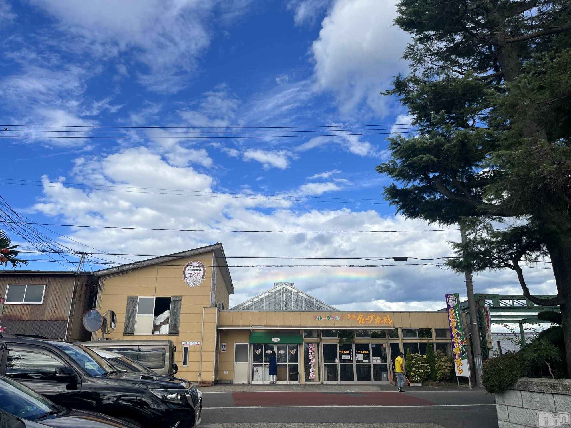 ʥå륺СVeronica-˥-(˥) 2023ǯ91̥֥🌈✨