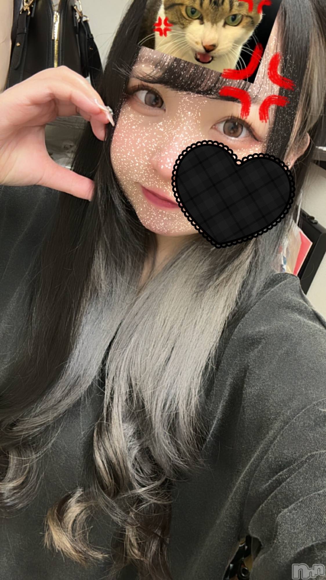 ʥå륺СVeronica-˥-(˥) 2024ǯ113̥֥- ̗̀( ˶^ᵕ'˶)b