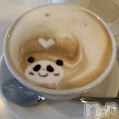 ʥå륺СVeronica-˥-(˥) 餭44̥֥🐼