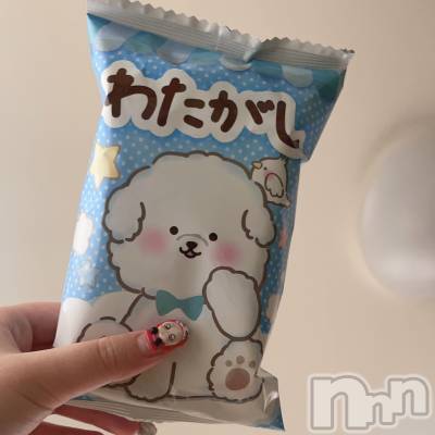 ʥå륺СVeronica-˥-(˥) 餭85̥֥֤濫☁