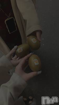 ʥå륺СVeronica-˥-(˥) 餭611̥֥🥝4