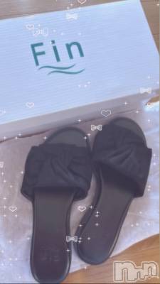 ʥå륺СVeronica-˥-(˥) 餭530̥֥ĺ㤤ޤ(⑉• •⑉)❤︎