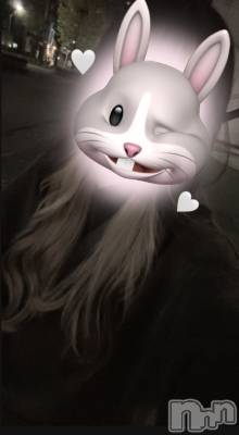 ʥå륺СVeronica-˥-(˥) 餭1110̥֥|-`)׎