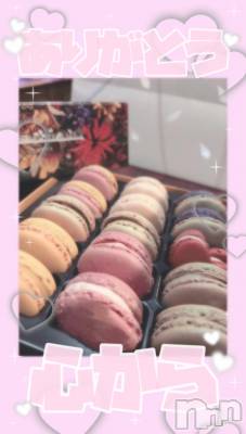 ʥå륺СVeronica-˥-(˥) 餭318̥֥(♡〰️♡)