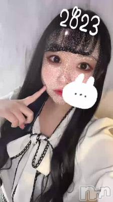 🐰