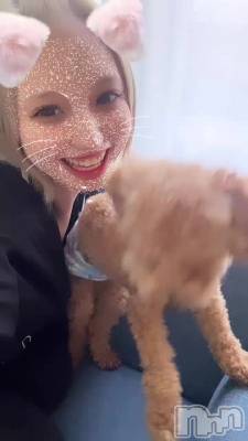 ڤ🐶🤎