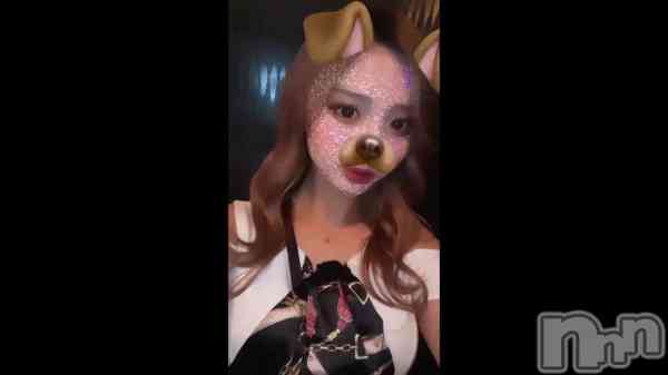 &#x1F436;&#x1F90E;