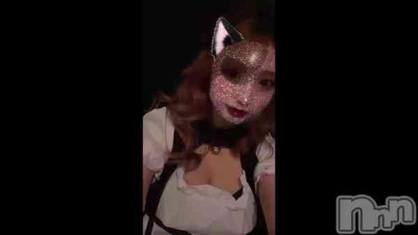 &#x1F408;&#x200D;&#x2B1B;&#x1F319;