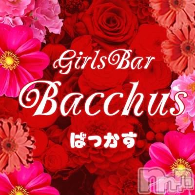 ꤫(ҥߥ) Ĺ160cmʥå륺С Girls Bar BacchusŹ(Хåޥƥ)ҡ