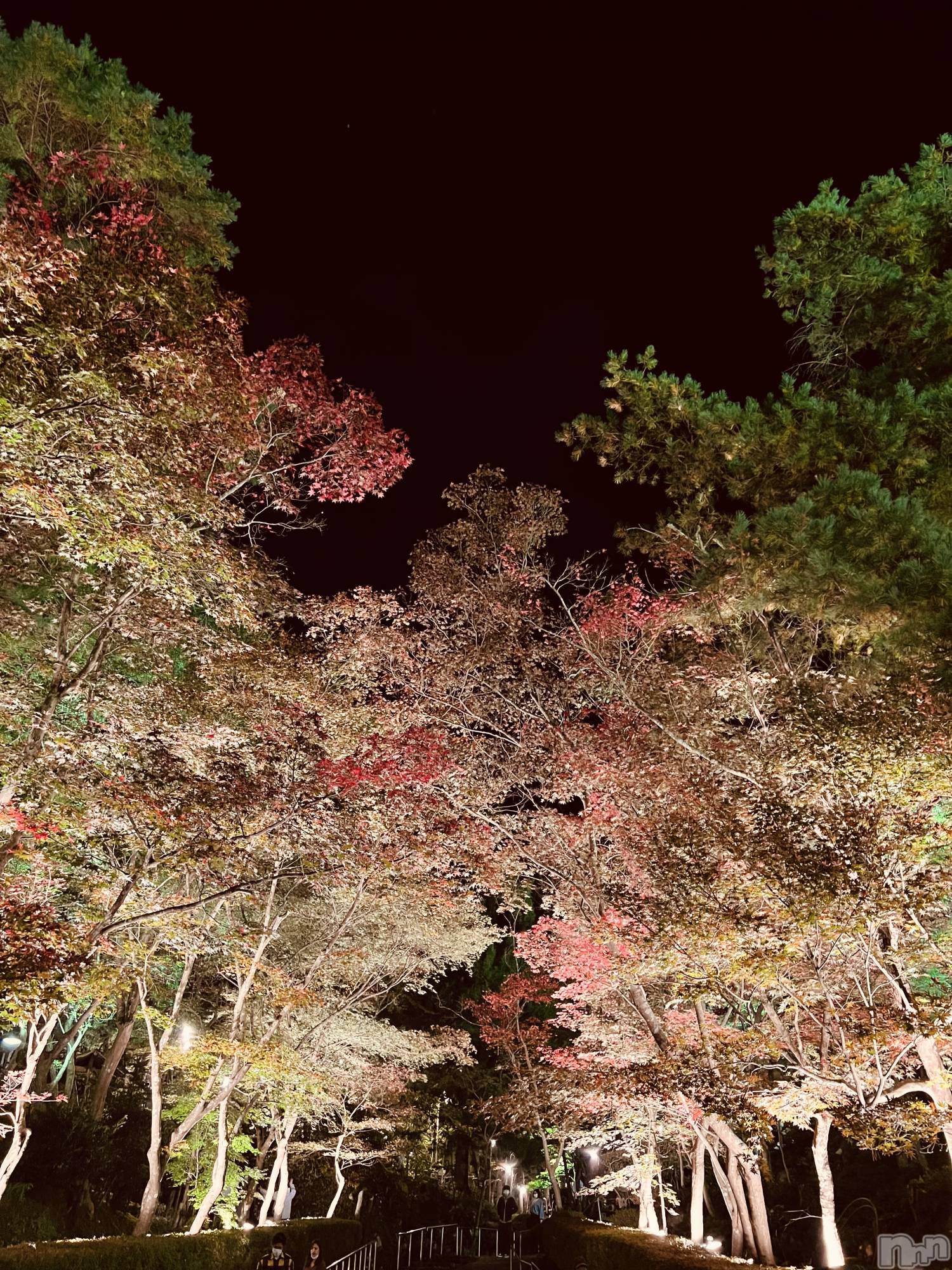 ʥå륺СJEUNESSE(ͥ) 2022ǯ116̥֥֤Ф🍁