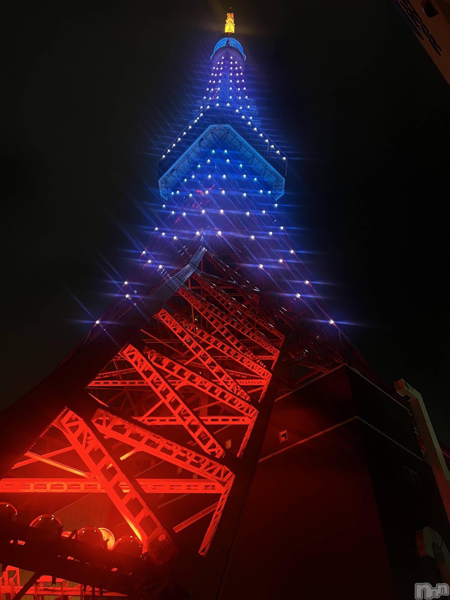 ʥå륺СJEUNESSE(ͥ) 2025ǯ516̥֥֤ä