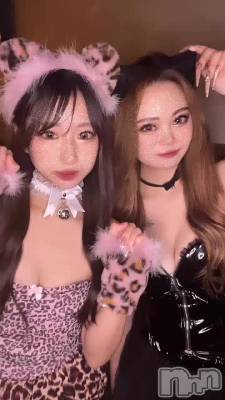 🐯💜🐈‍⬛