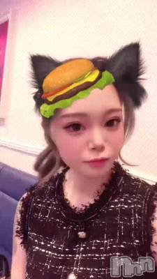 �ݥˡ��ơ��빥�����ޤ�‼️