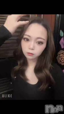 �����������衼��