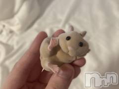 松本発デリヘルVANILLA(バニラ) ほのか(18)の10月23日写メブログ「ずっこけハムちゃん🐹」