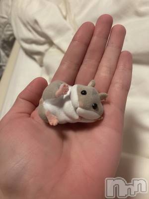 松本発デリヘル VANILLA(バニラ) ほのか(18)の11月1日写メブログ「お目当てゲット🐹」