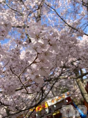 松本発デリヘル VANILLA(バニラ) ほのか(18)の4月3日写メブログ「行ってきました🌸」