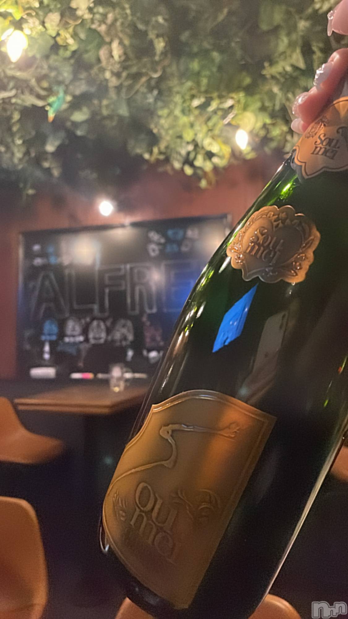 ʥå륺СALFRED(եå) 2023ǯ917̥֥🥂✨🥂✨