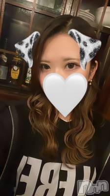 ʥå륺СALFRED(եå) ϥ1228̥֥1228 2034ʬΥ֥