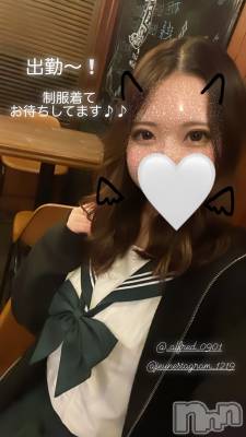 ʥå륺СALFRED(եå) ϥ516̥֥֥٥ȹ💕💕