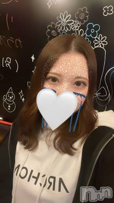 ʥå륺СALFRED(եå) ϥ66̥֥66 2120ʬΥ֥