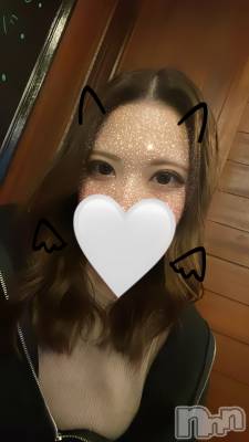 ʥå륺СALFRED(եå) ϥ67̥֥67 2136ʬΥ֥