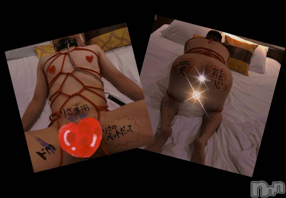 かわいいわんちゃん🐶