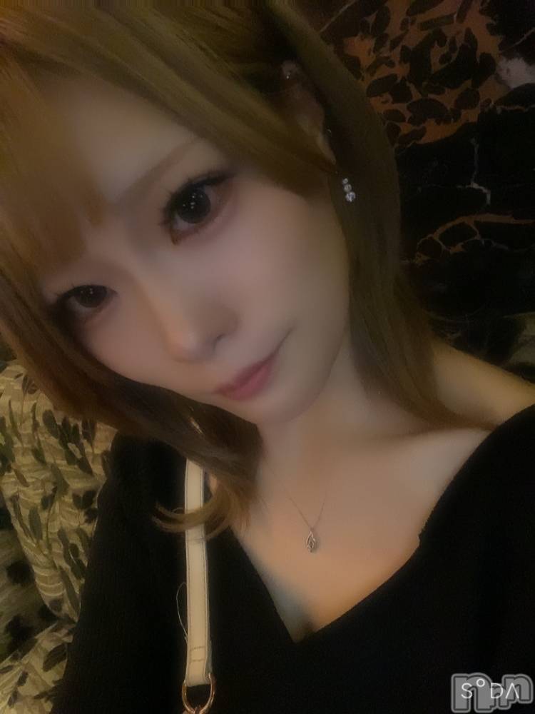 ƲХ顦JARDIN CLUB(󥯥) ߤ827̥֥🦌