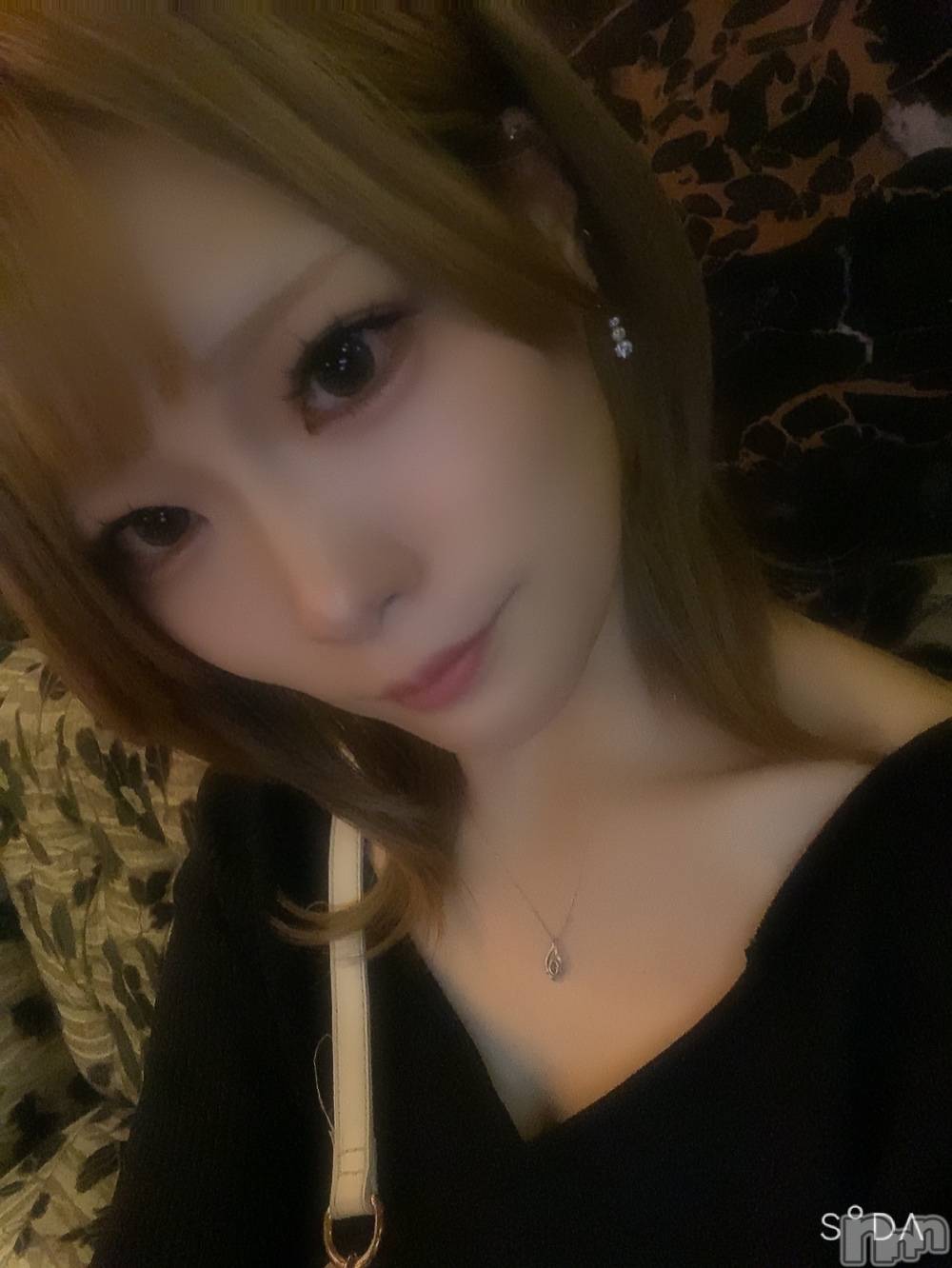 ƲХ顦JARDIN CLUB(󥯥) 2025ǯ827̥֥🦌