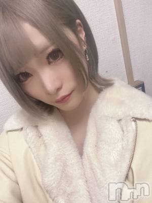 ƲХ顦JARDIN CLUB(󥯥) ߤ417̥֥👔✨