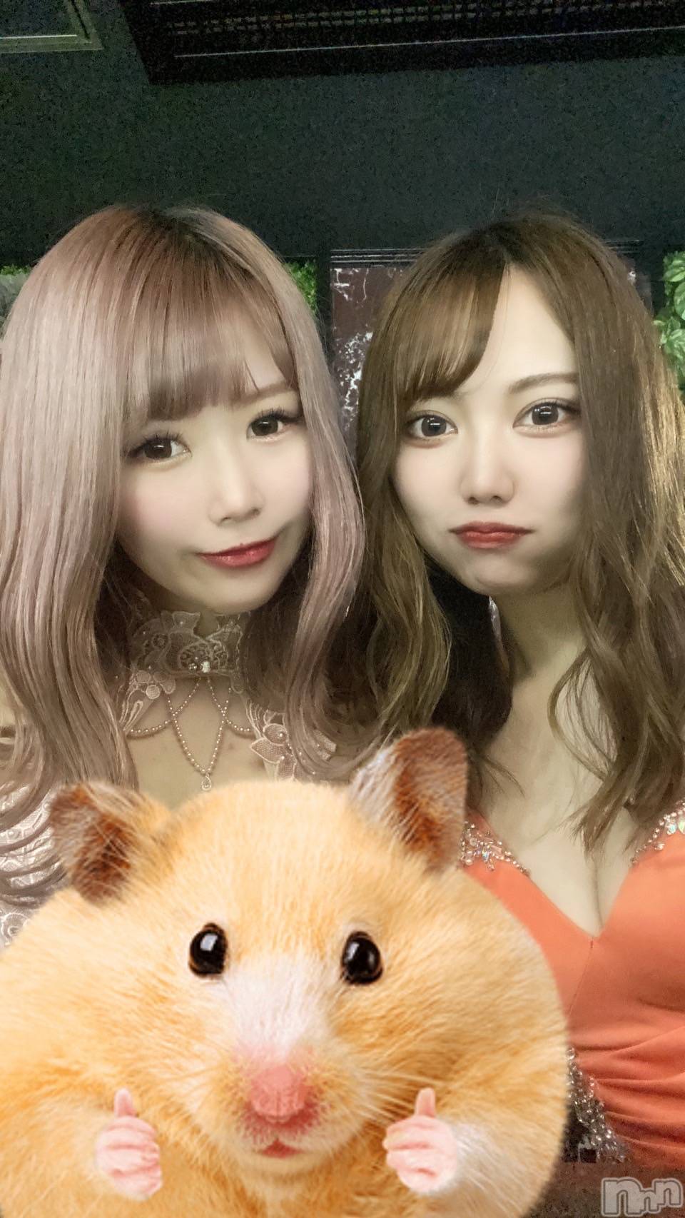 ƲХ顦JARDIN CLUB(󥯥) 2022ǯ823̥֥֥ϥ🐹💨